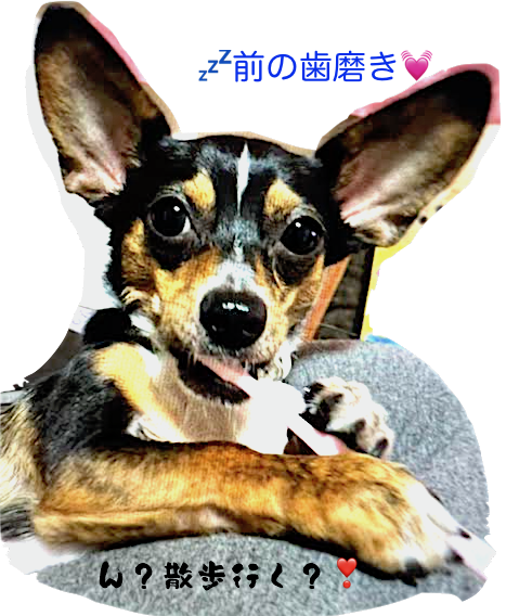 ☆2月のお休み☆